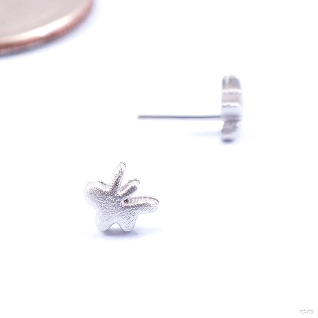Dabble Press-fit End in Gold from Pupil Hall - Image 3
