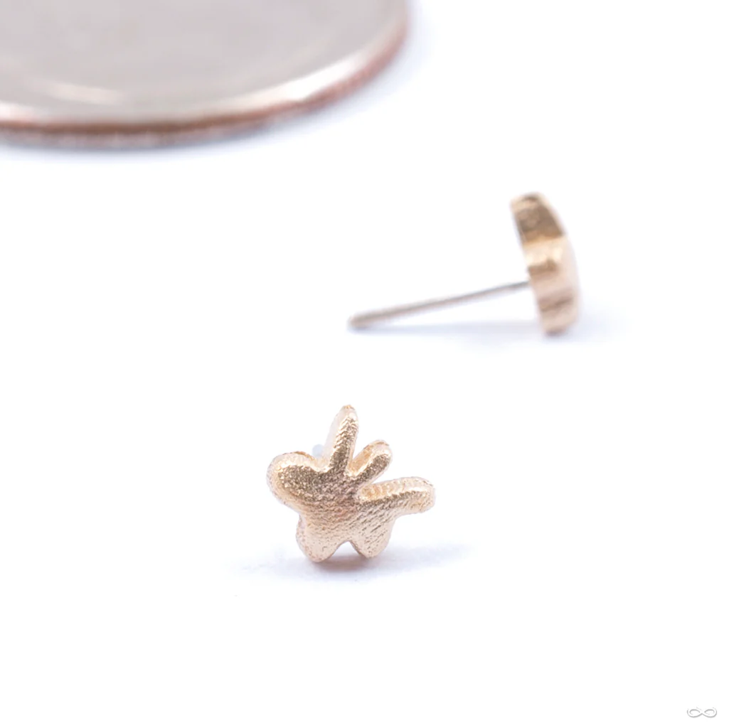 Dabble Press-fit End in Gold from Pupil Hall - Image 4