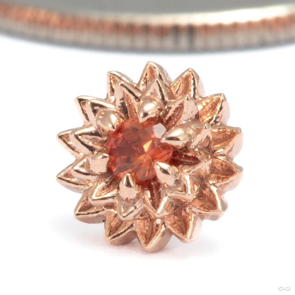 Dahlia Press-fit End in Gold from Tether Jewelry - Image 2