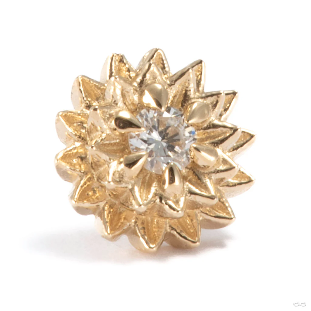 Dahlia Press-fit End in Gold from Tether Jewelry - Image 4