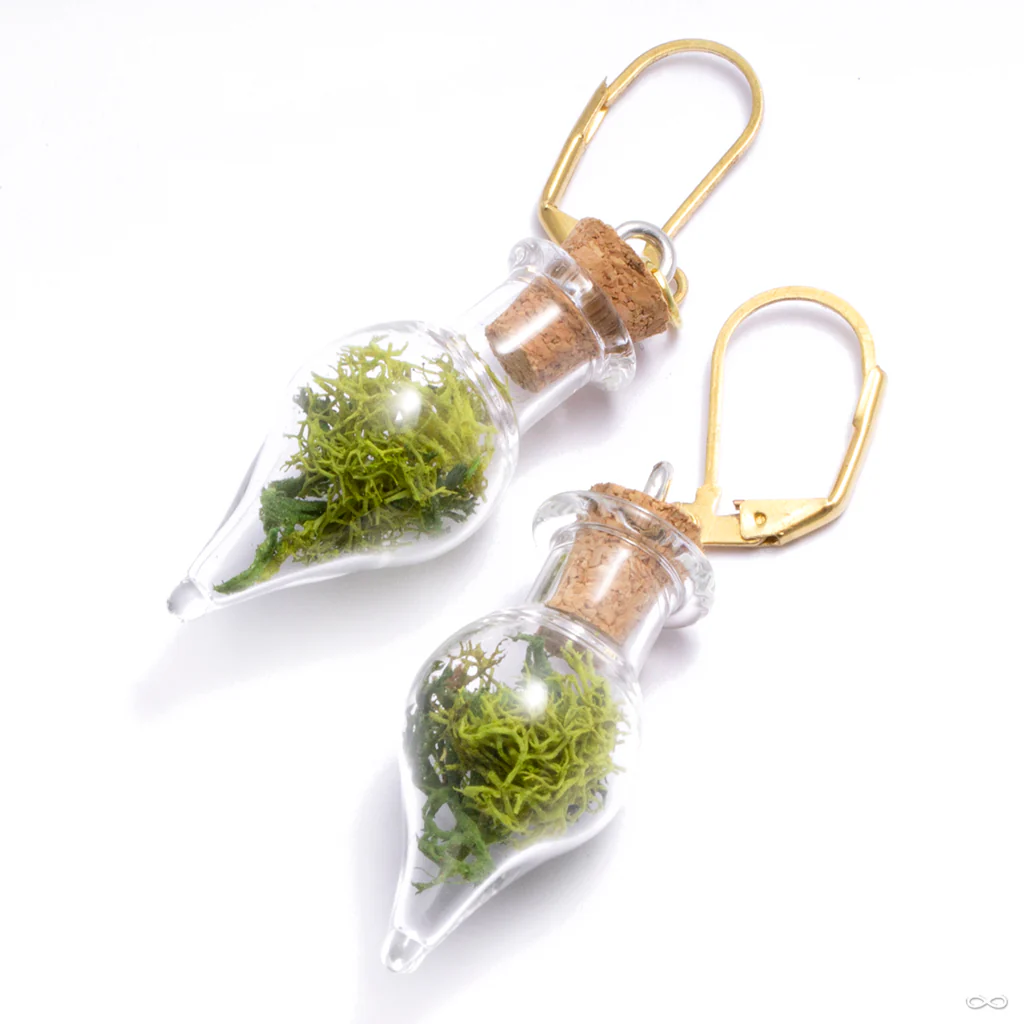Dayak Terrarium Earrings from Uzu Organics - Image 3