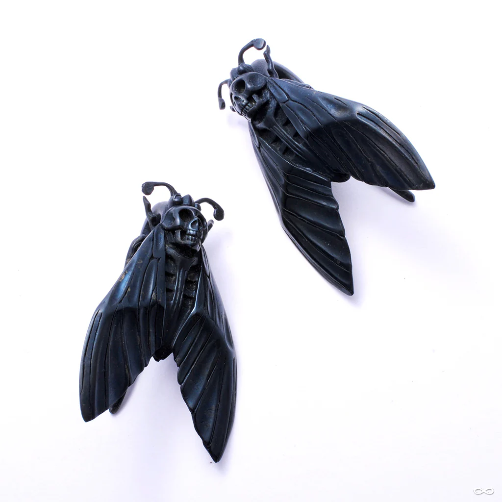 Death’s Head Moth Weights from Tawapa - Image 3