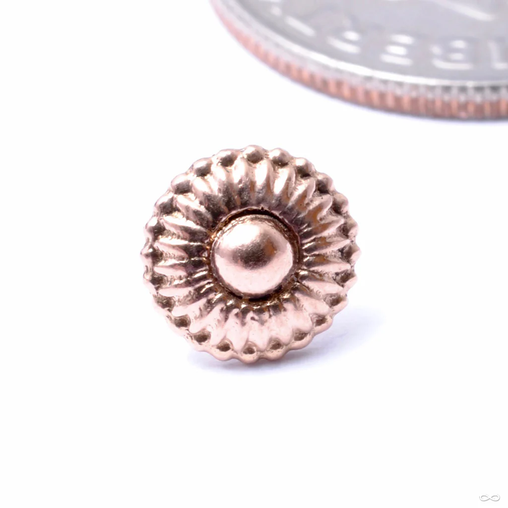 Dessert First Press-fit End in Gold from Regalia - Image 3