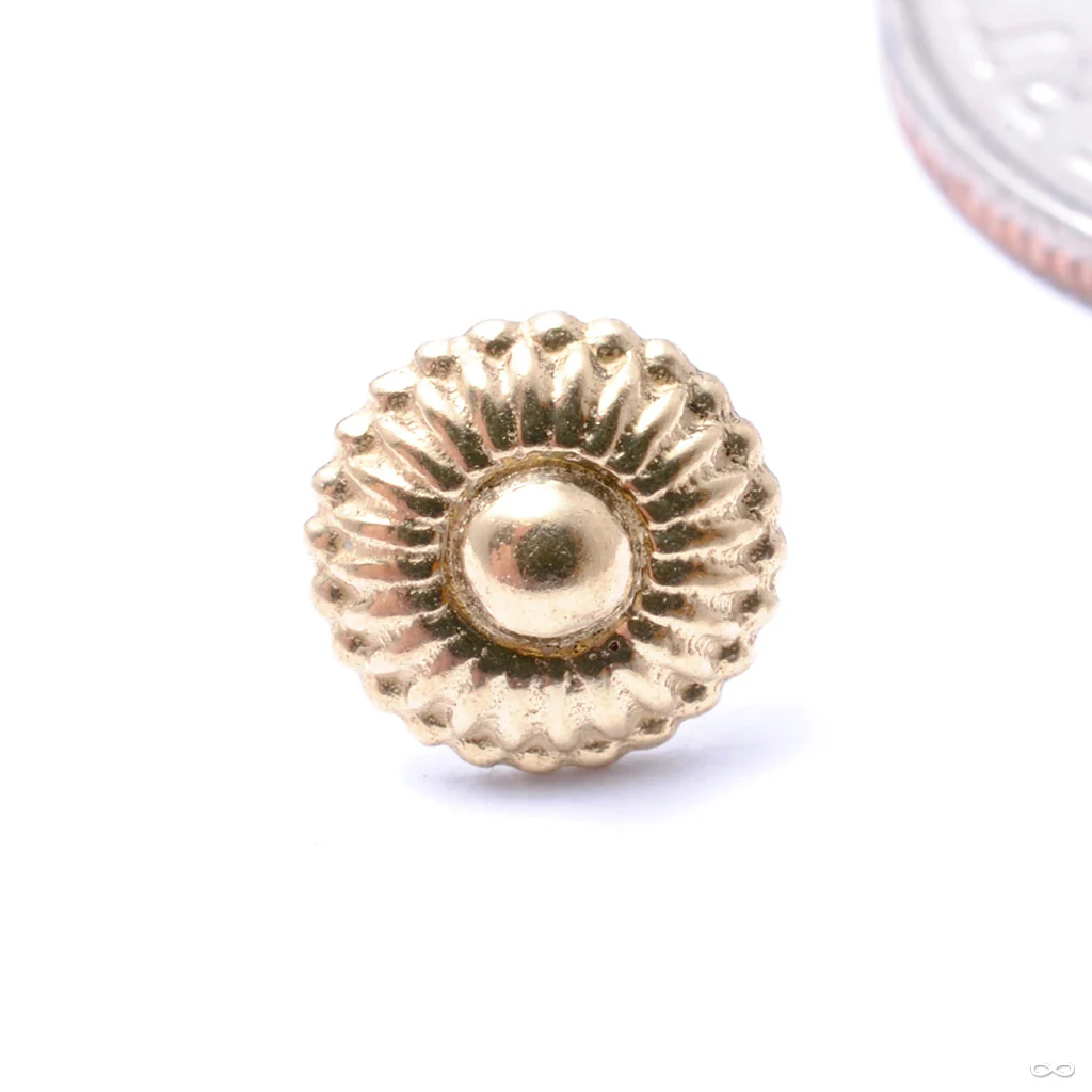 Dessert First Press-fit End in Gold from Regalia - Image 5