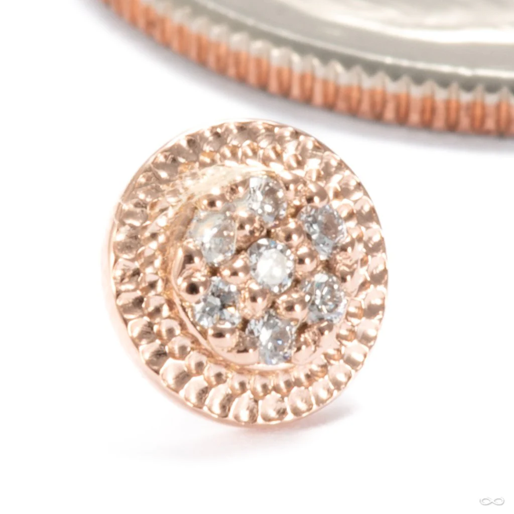 Didact Press-fit End in Gold from Seasons Handmade - Image 2