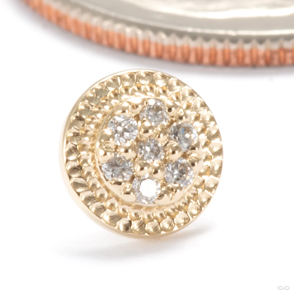 Didact Press-fit End in Gold from Seasons Handmade - Image 5