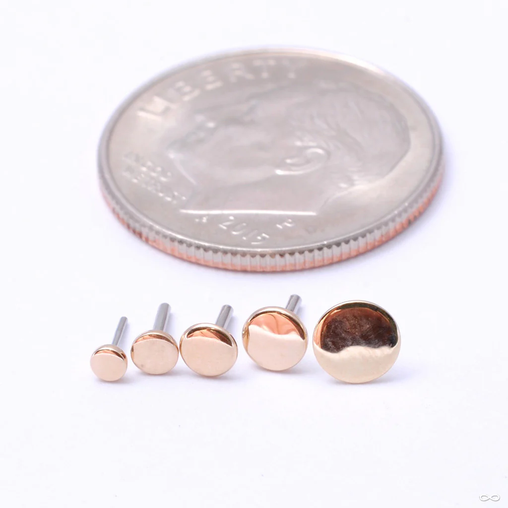 Disk Press-fit End in Gold from LeRoi - Image 3