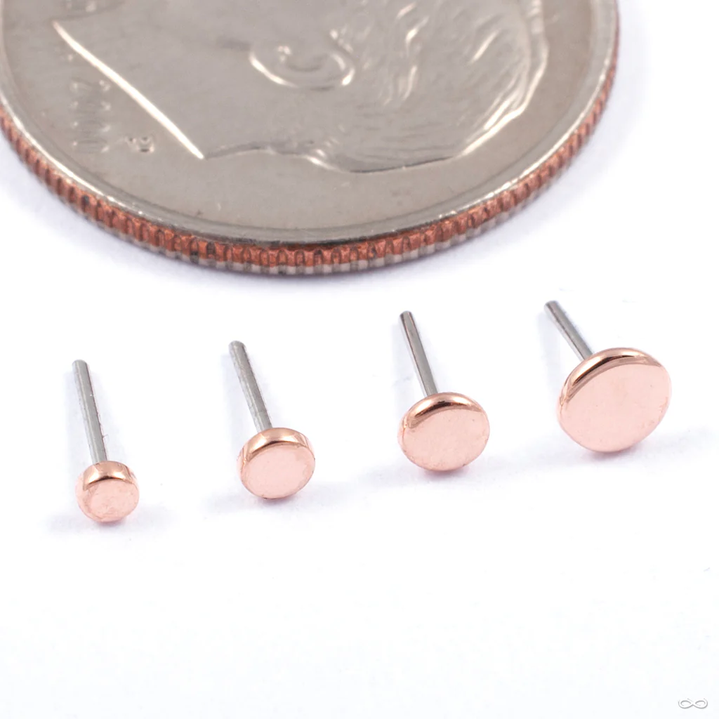 Disk Press-fit End in Gold from LeRoi - Image 4