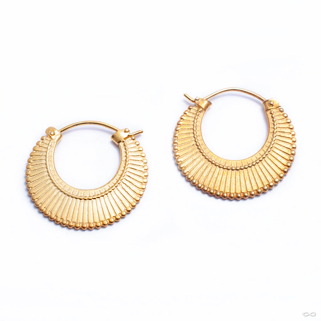 Dissent Earring from Maya Jewelry