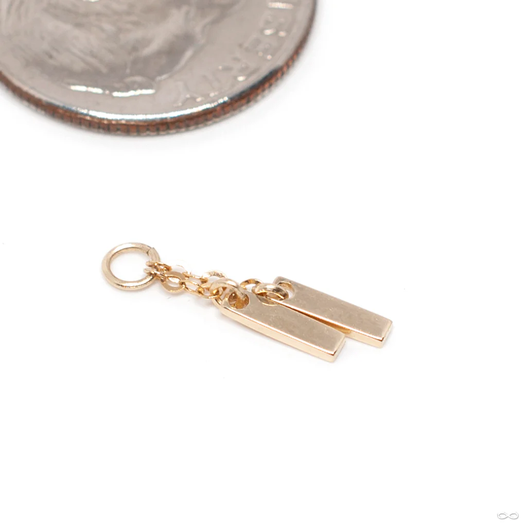 Dos Charm in Gold from Hialeah