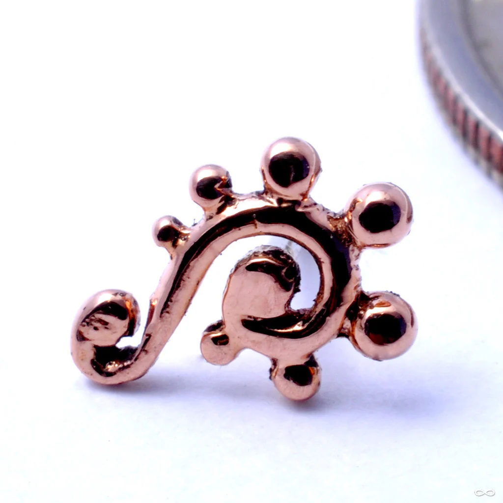 Dots and Swirls Press-fit End in Gold from BVLA - Image 2