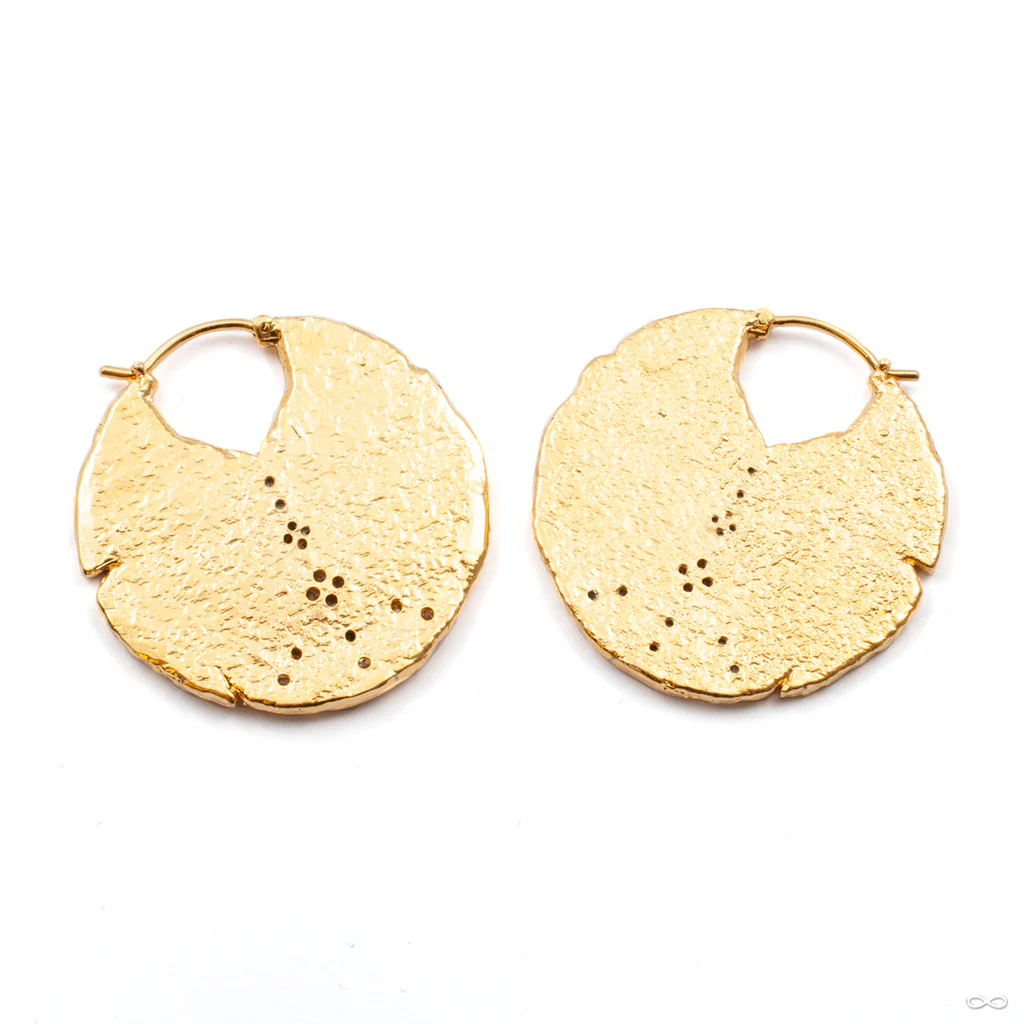 Duality Earrings from Maya Jewelry - Image 4