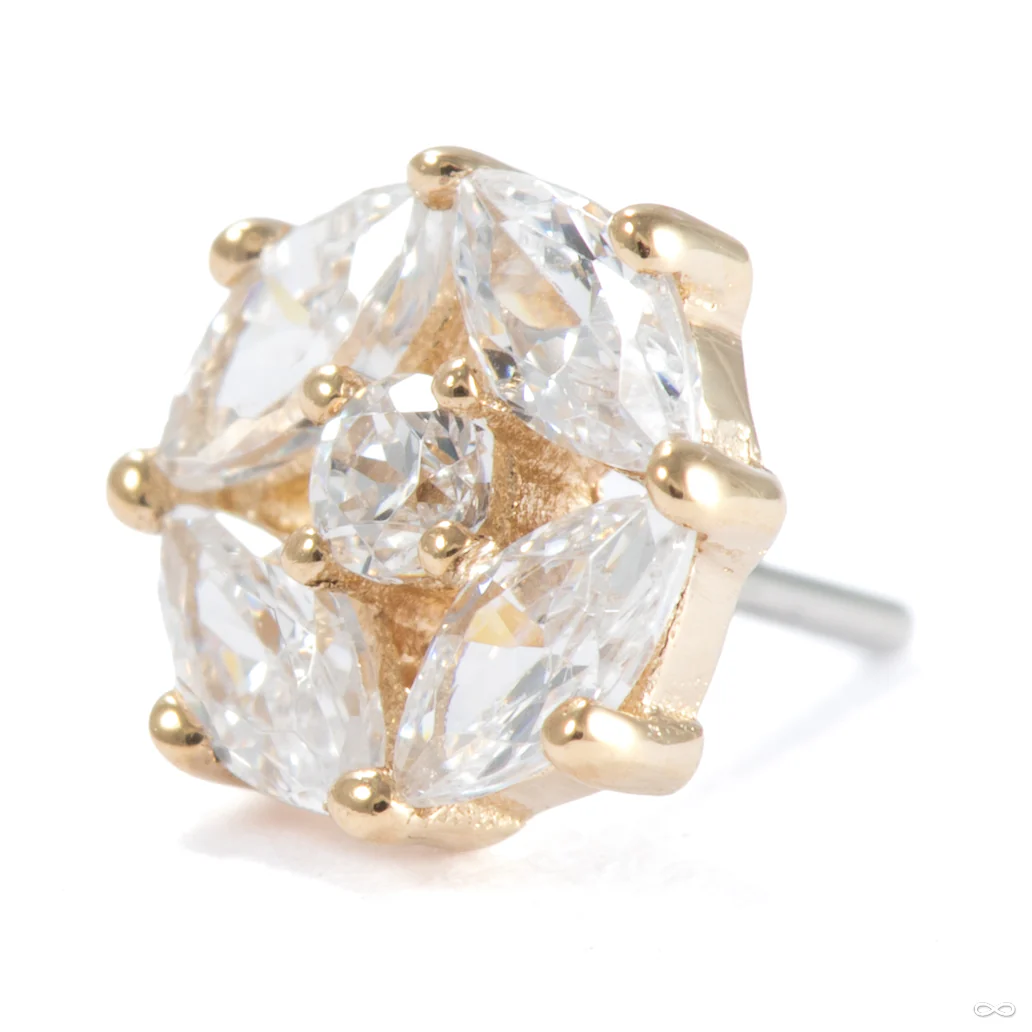 Equinox Press-fit End in Gold from Ember Body Jewelry