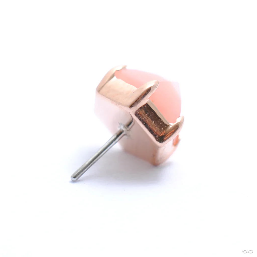 Family Ghost Press-fit End in Gold from Pupil Hall - Image 15