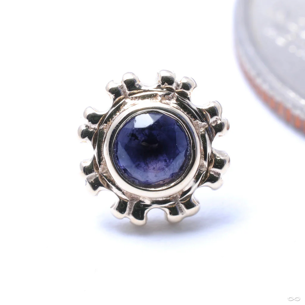 Firenze Press-fit End in Gold from BVLA - Image 2
