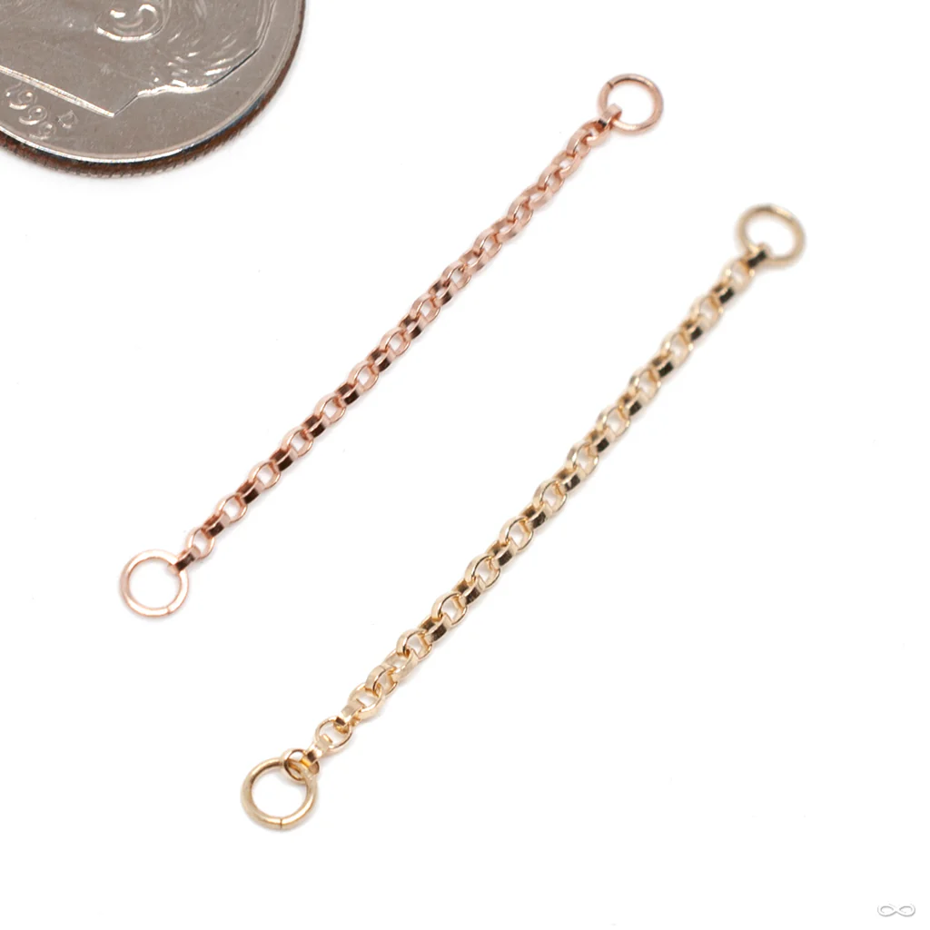 Flattened Oval Rolo Chain in Gold from Hialeah