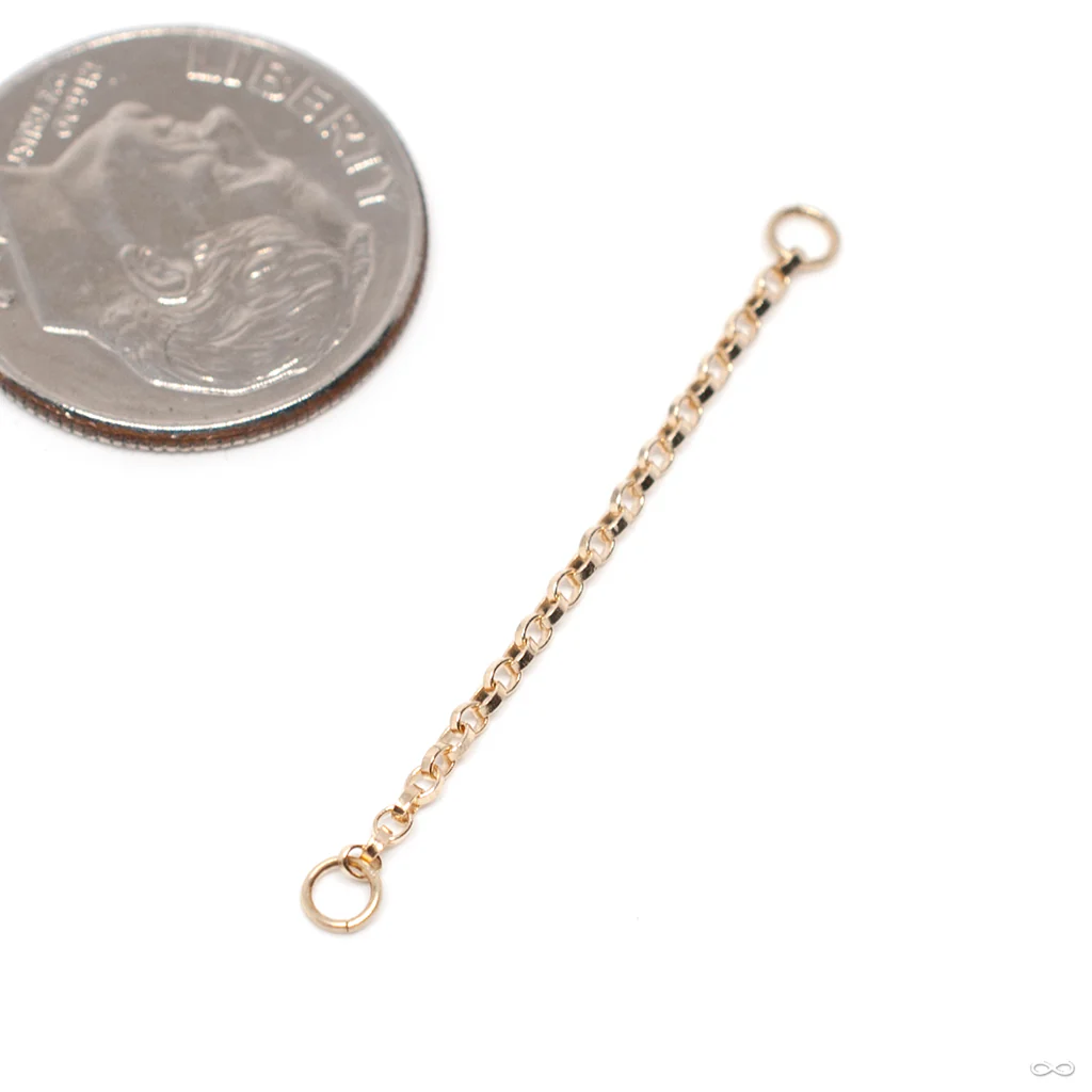 Flattened Oval Rolo Chain in Gold from Hialeah - Image 2