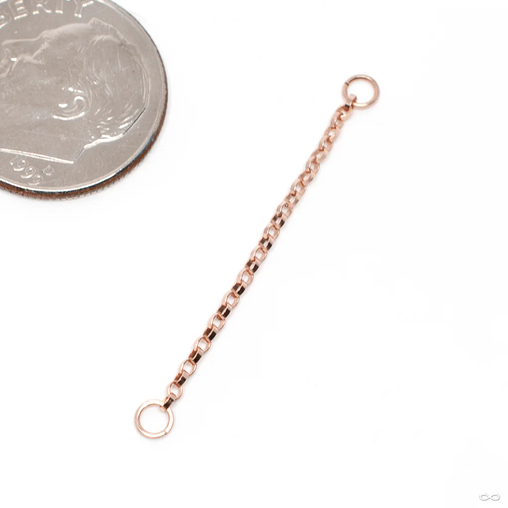 Flattened Oval Rolo Chain in Gold from Hialeah - Image 3