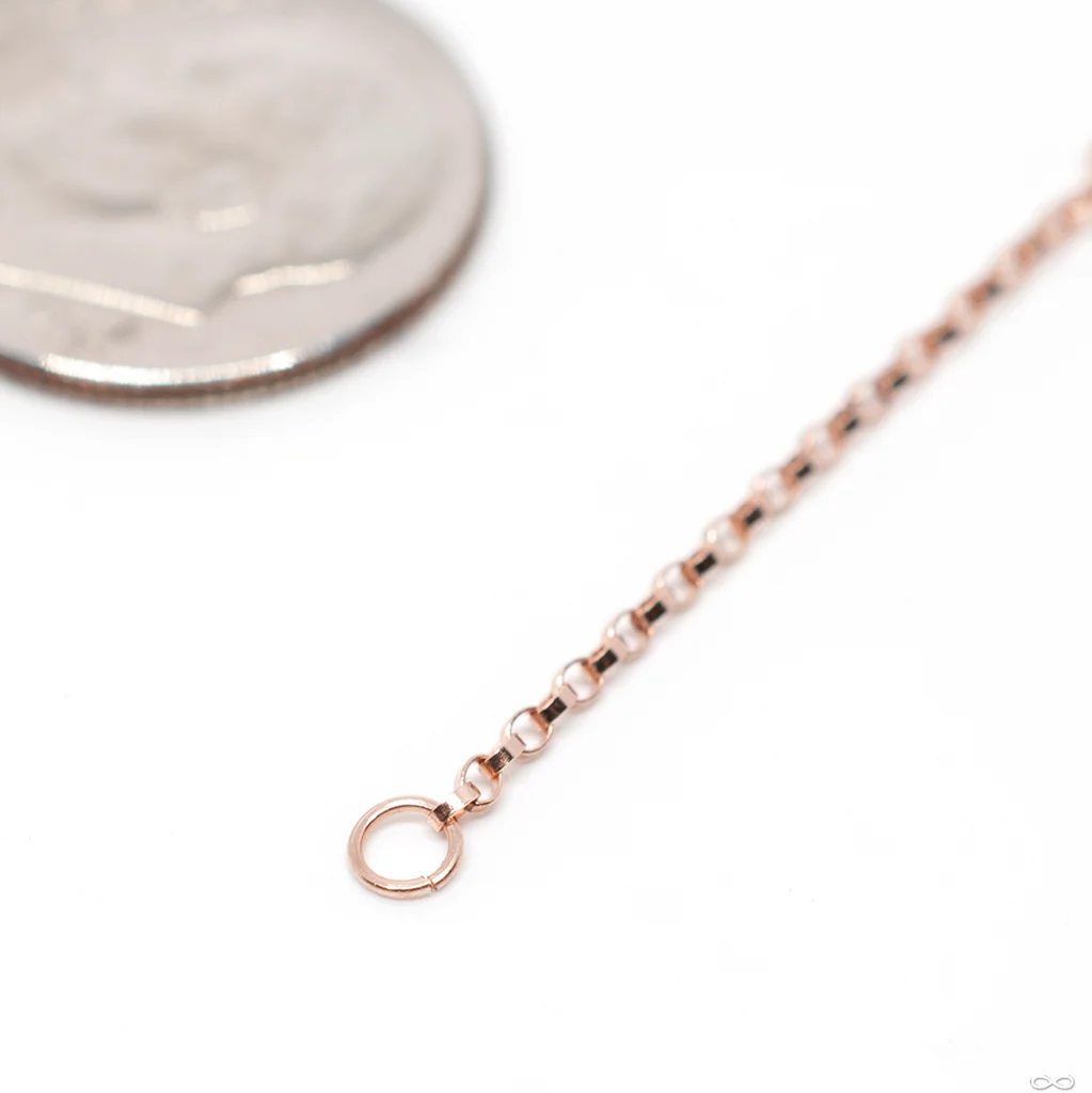 Flattened Oval Rolo Chain in Gold from Hialeah - Image 4