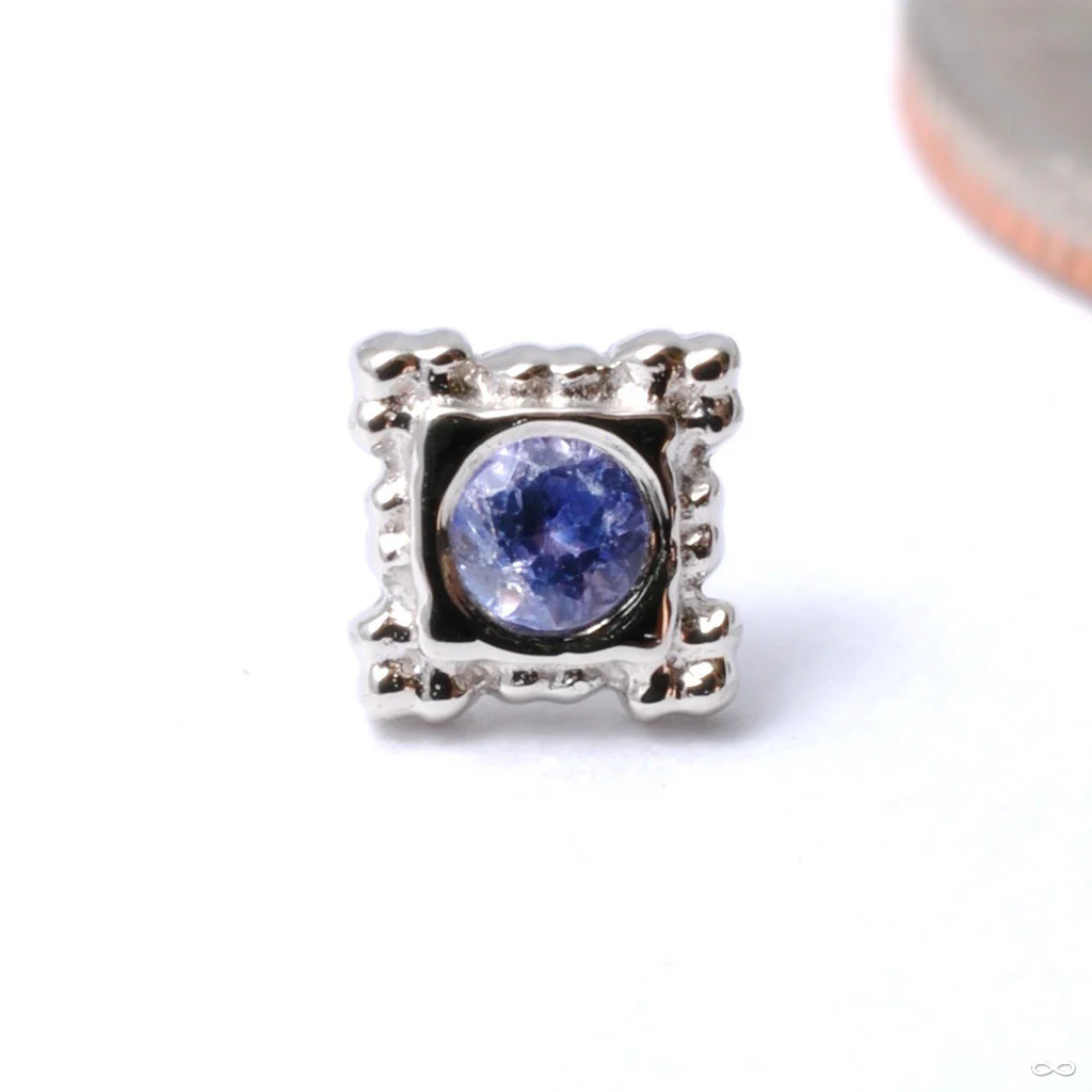 Flourish Illusion Press-fit End in Gold from BVLA - Image 7