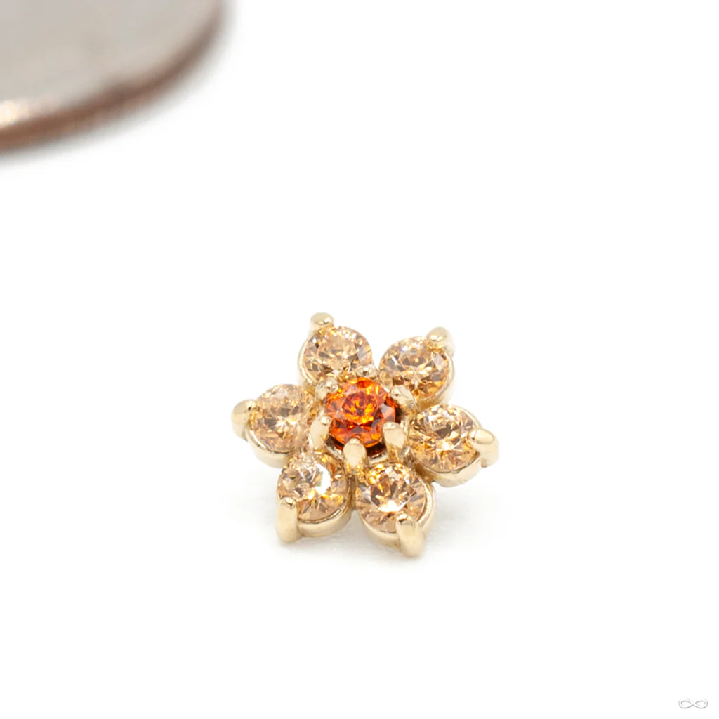 Flower Threaded End in Gold from Anatometal - Image 7