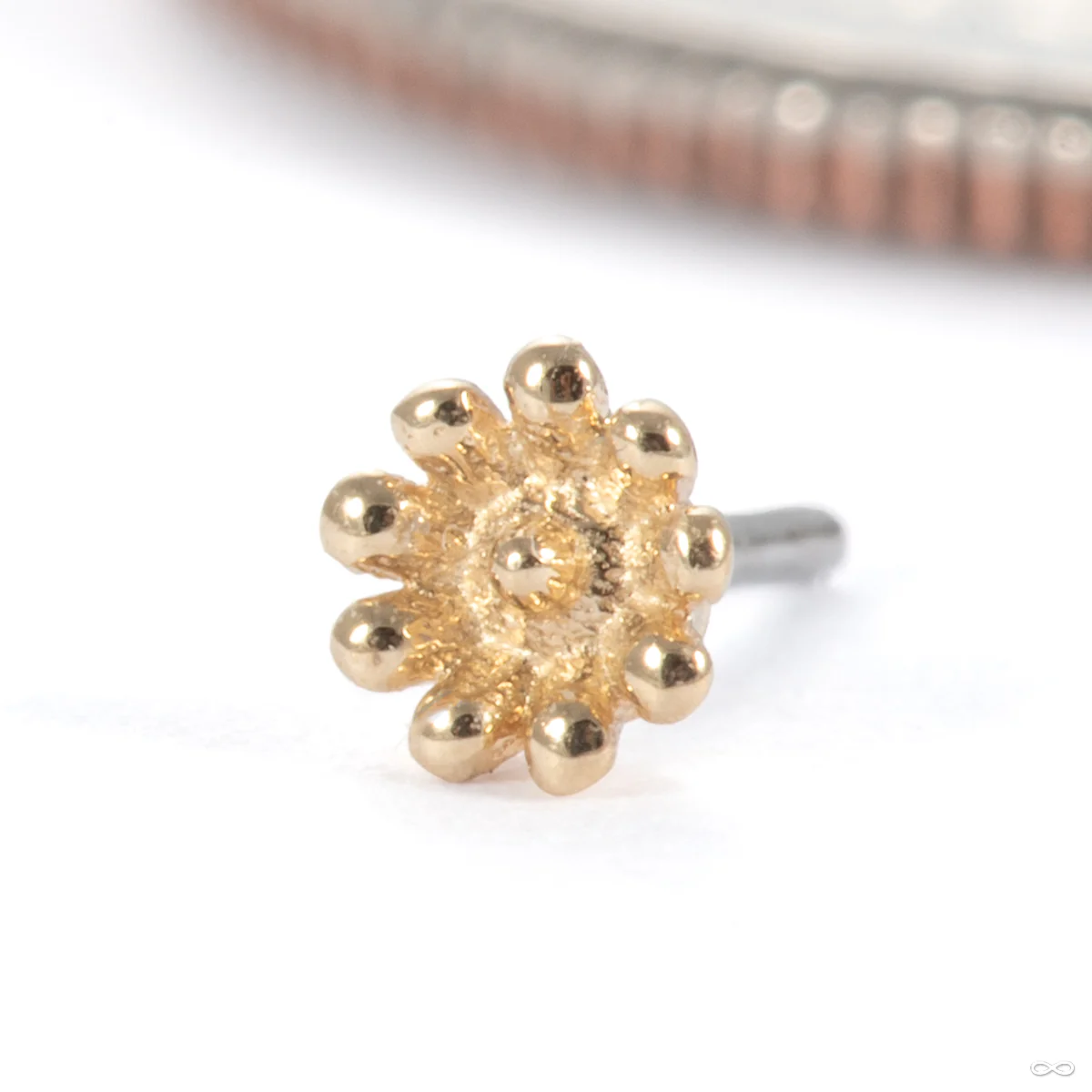 Flutter Press-fit End in Gold from Tawapa - Image 3