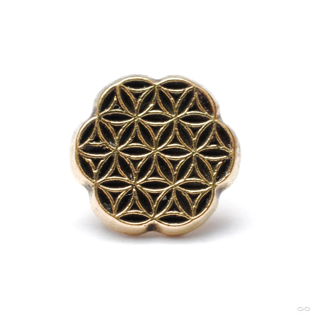 Forty3 Press-fit End in Gold from Maya Jewelry - Image 2