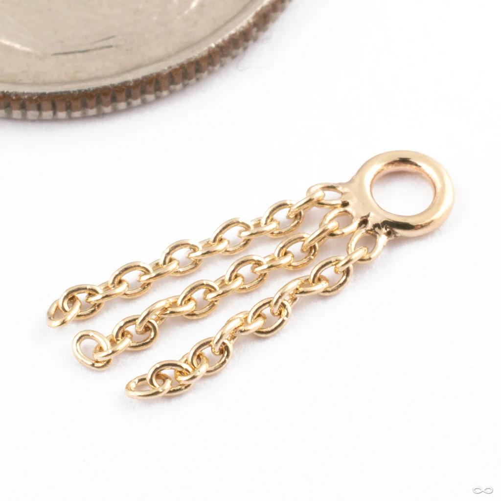 Fringe Charm in Gold from Tether Jewelry - Image 4