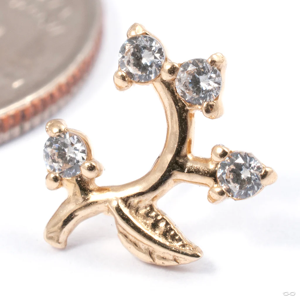 Frond Press-fit End in Gold from Tawapa - Image 3
