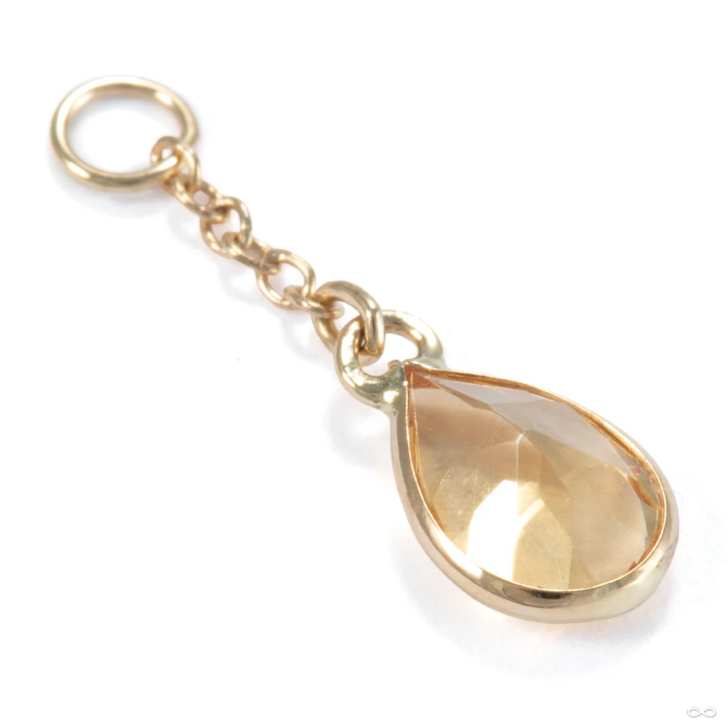 Fruta Charm in Gold from Hialeah - Image 4