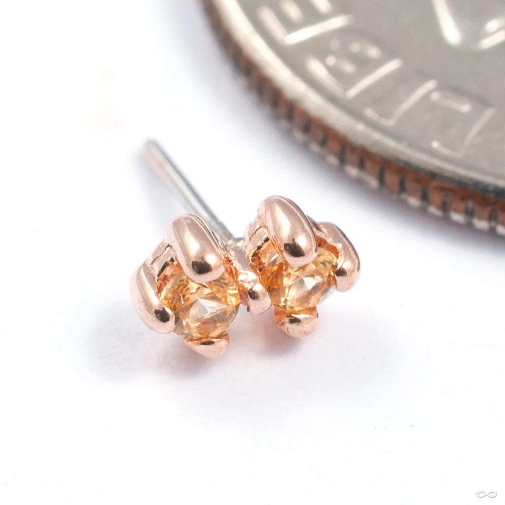 Gala Press-fit End in Gold from Quetzalli - Image 4