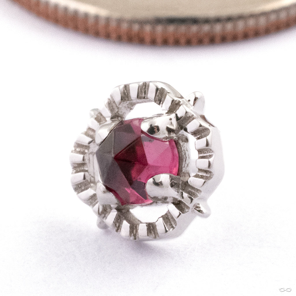 Gemmed Kappa 04 Press-fit End in Gold from Tether Jewelry - Image 4