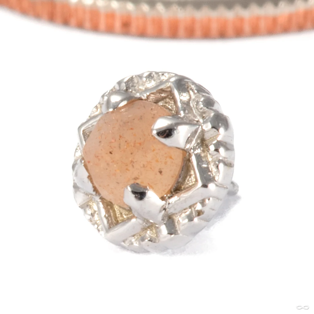 Gemmed Omega 24 Press-fit End in Gold from Tether Jewelry - Image 7