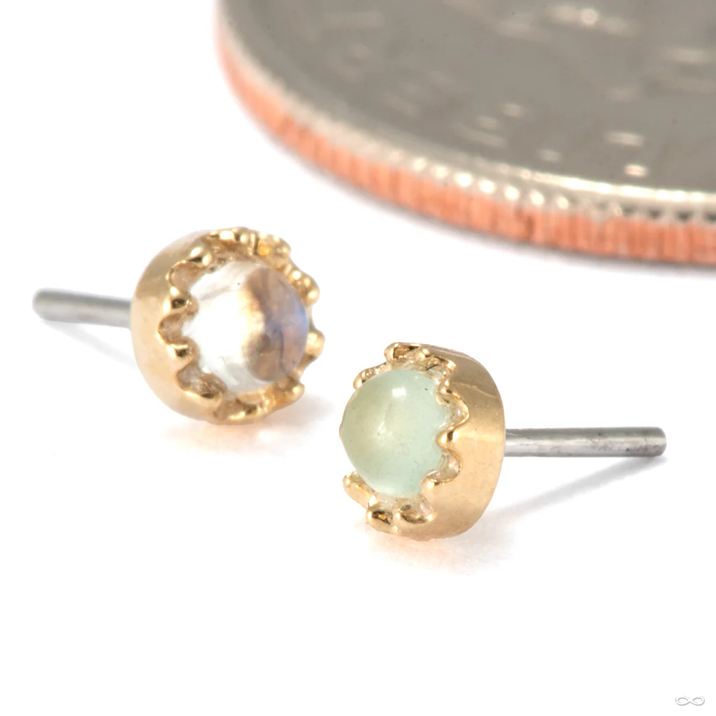 Georgina Press-Fit End in Gold from Tawapa