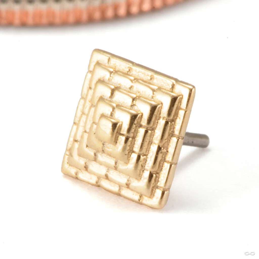 Giza Press-fit End in Gold from Tawapa