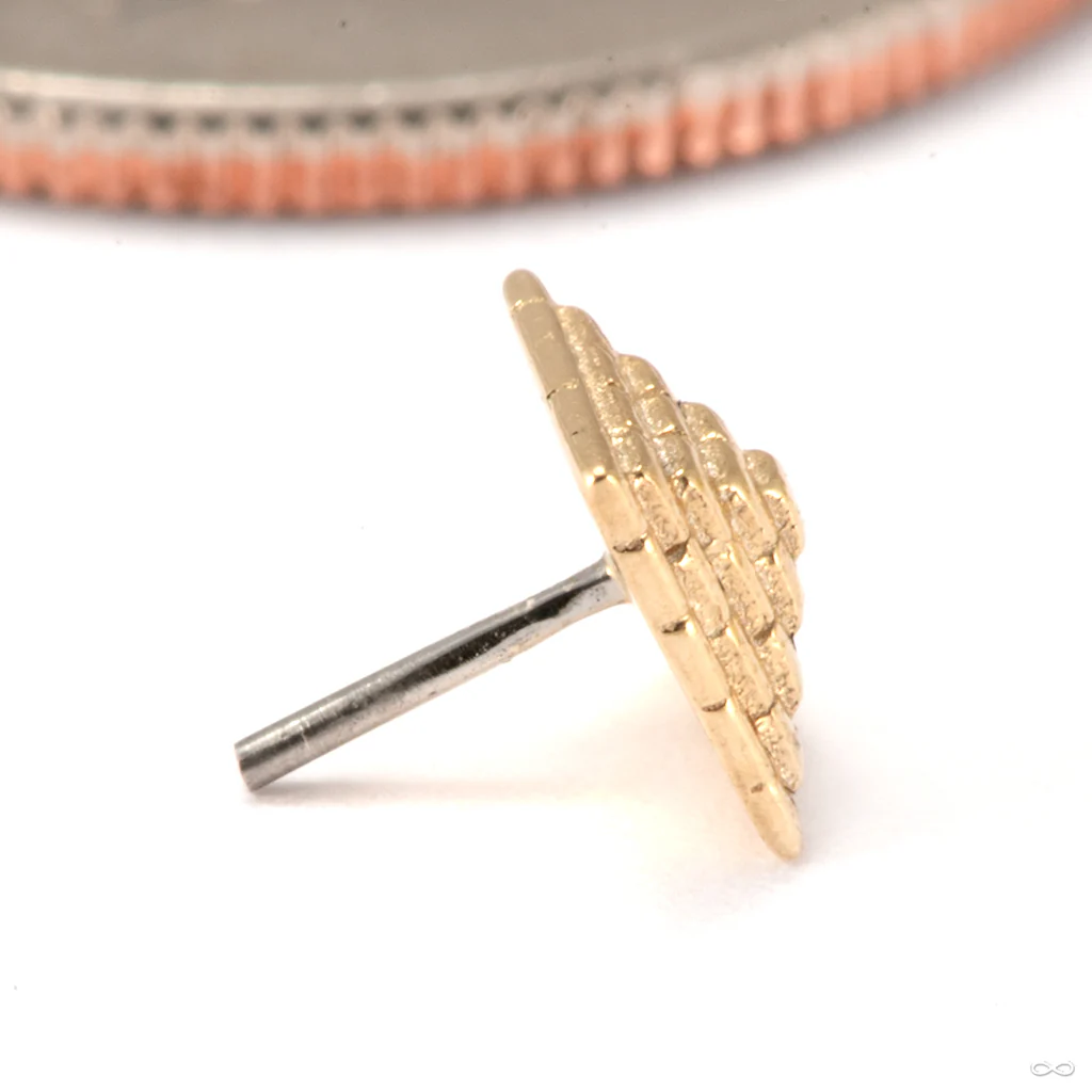 Giza Press-fit End in Gold from Tawapa - Image 2