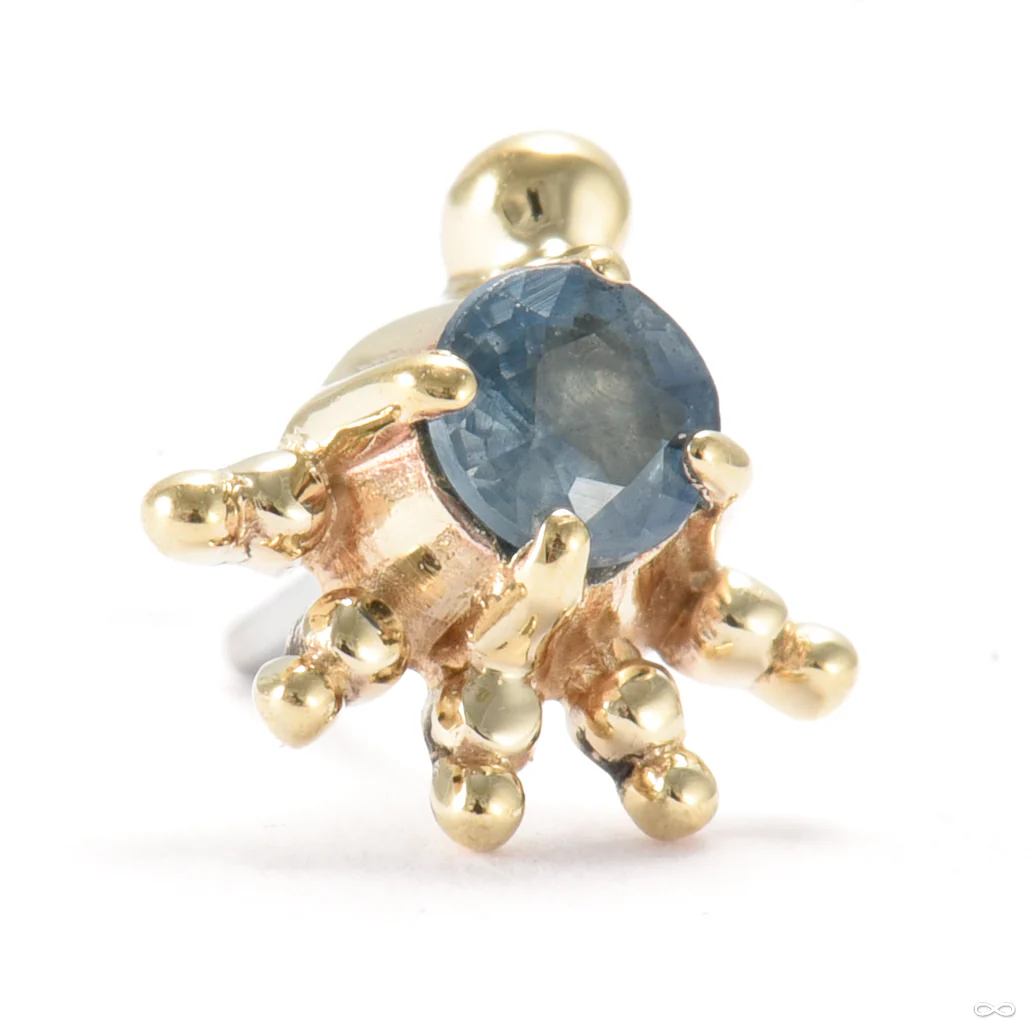 Golden Hour Press-fit End in Gold from Sacred Symbols