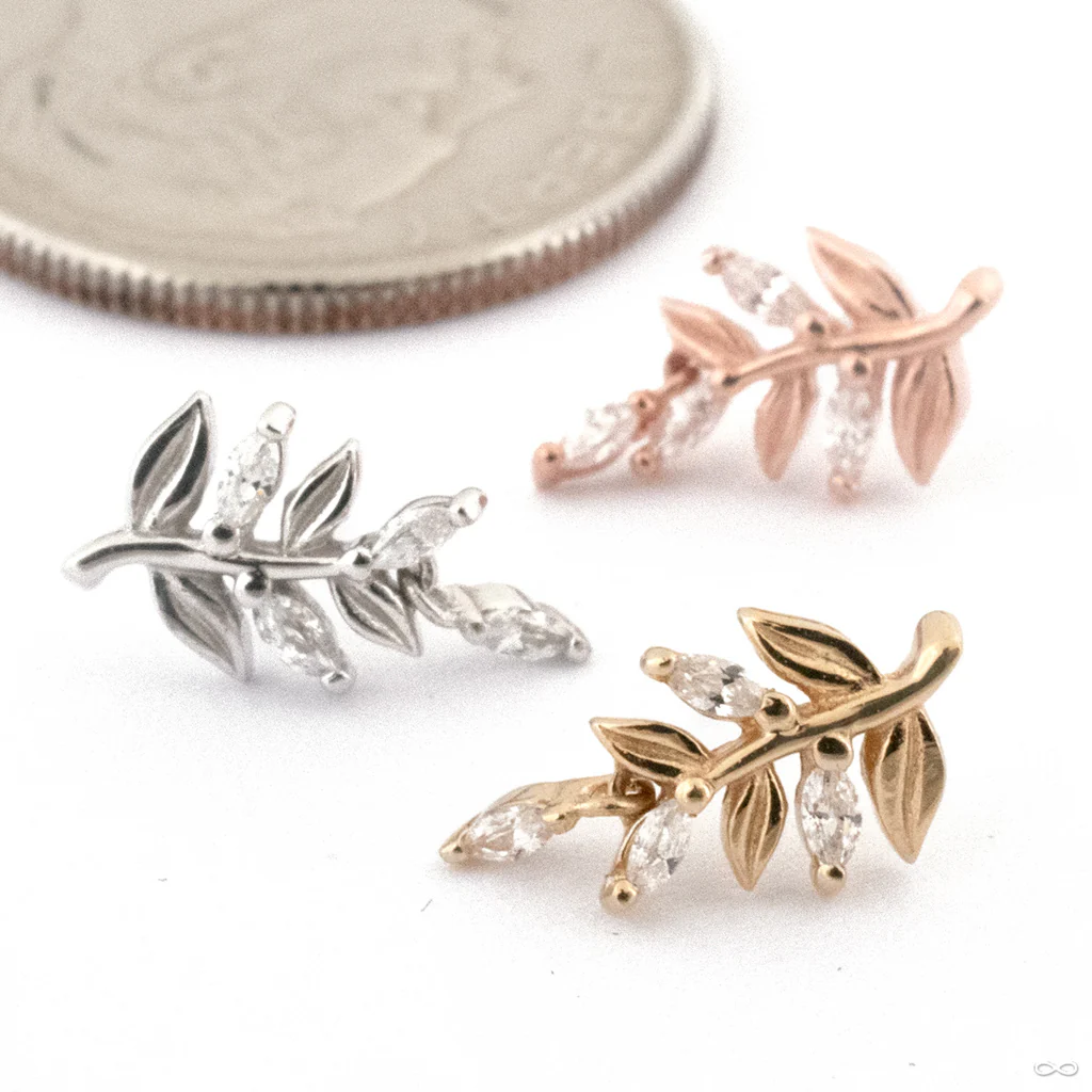 Growth Press-fit End in Gold from Buddha Jewelry