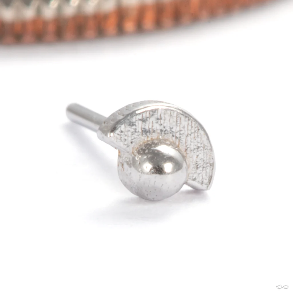 Half Full with Dottie Press-fit End in Gold from Pupil Hall - Image 3
