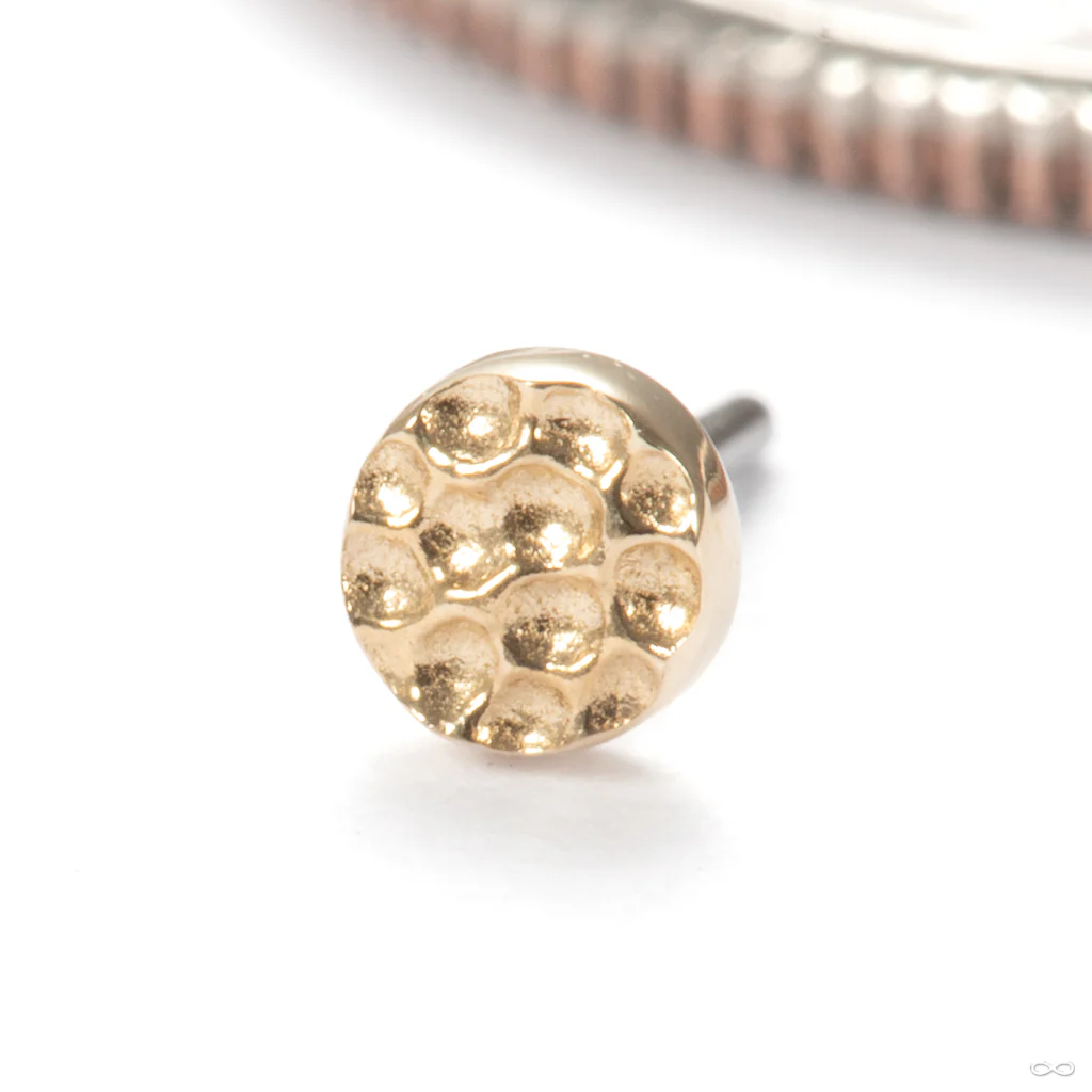 Hammered Disk Press-fit End in Gold from Junipurr Jewelry - Image 11