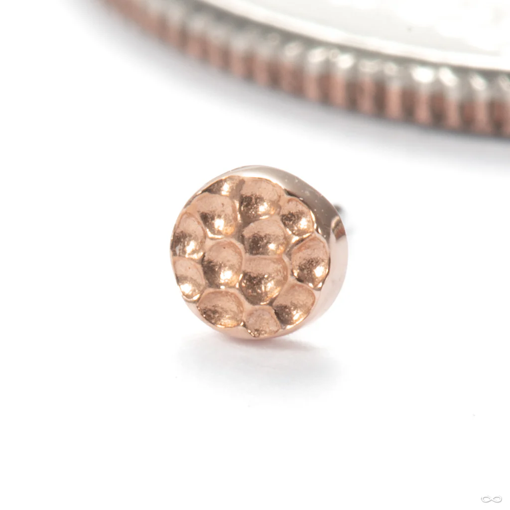 Hammered Disk Press-fit End in Gold from Junipurr Jewelry - Image 3