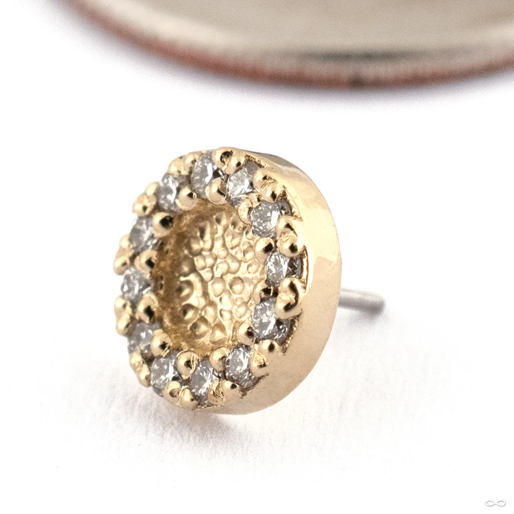 Hammered Ultimate Press-fit End in Gold from Seasons Handmade - Image 3