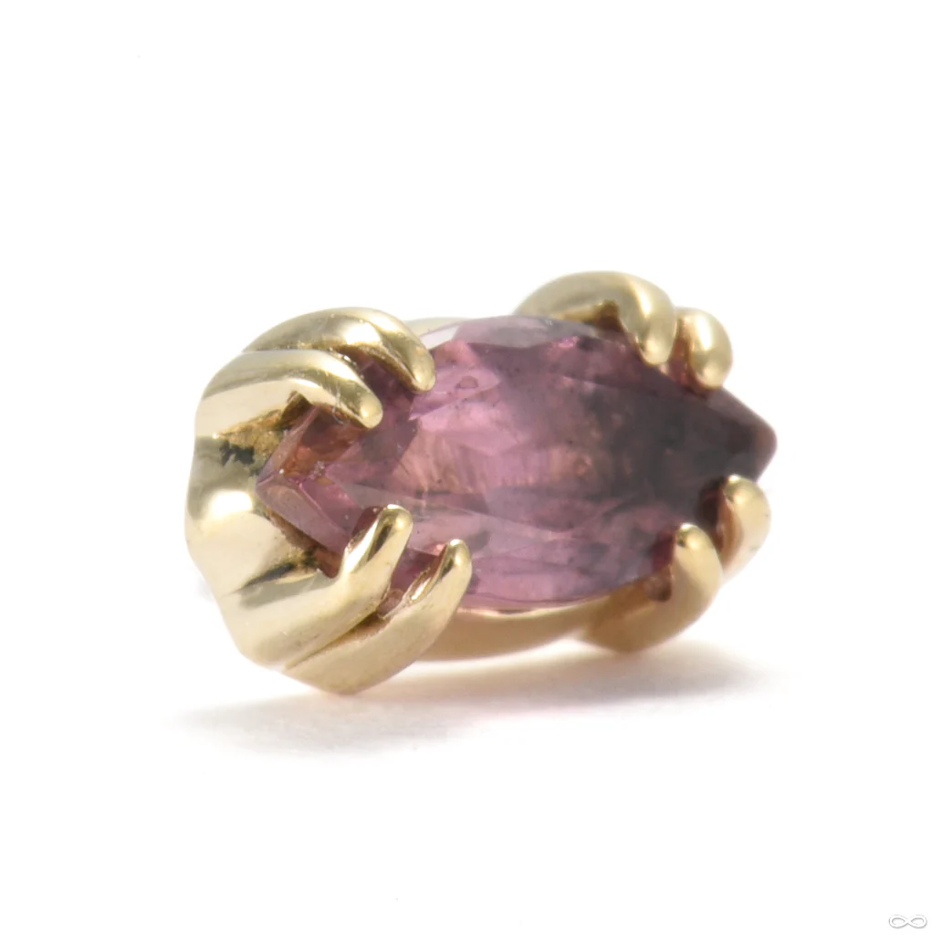 Held Press-fit End in Gold from Sacred Symbols - Image 2