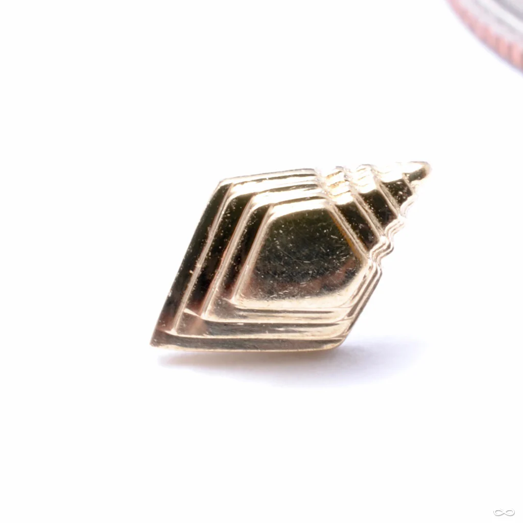 Hierarchy Press-fit End in Gold from Regalia - Image 4