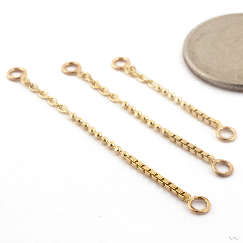 Hodgepodge Lynx Chain in Gold from Pupil Hall