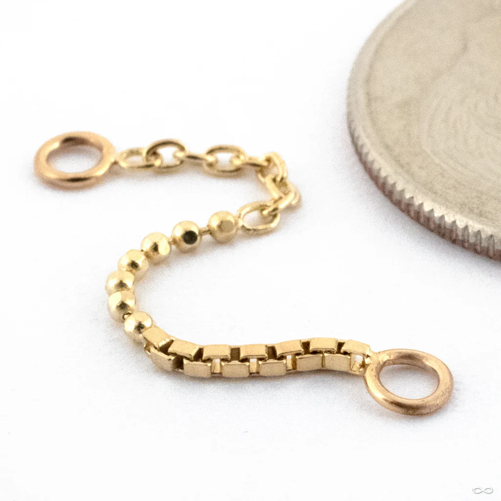 Hodgepodge Lynx Chain in Gold from Pupil Hall - Image 2