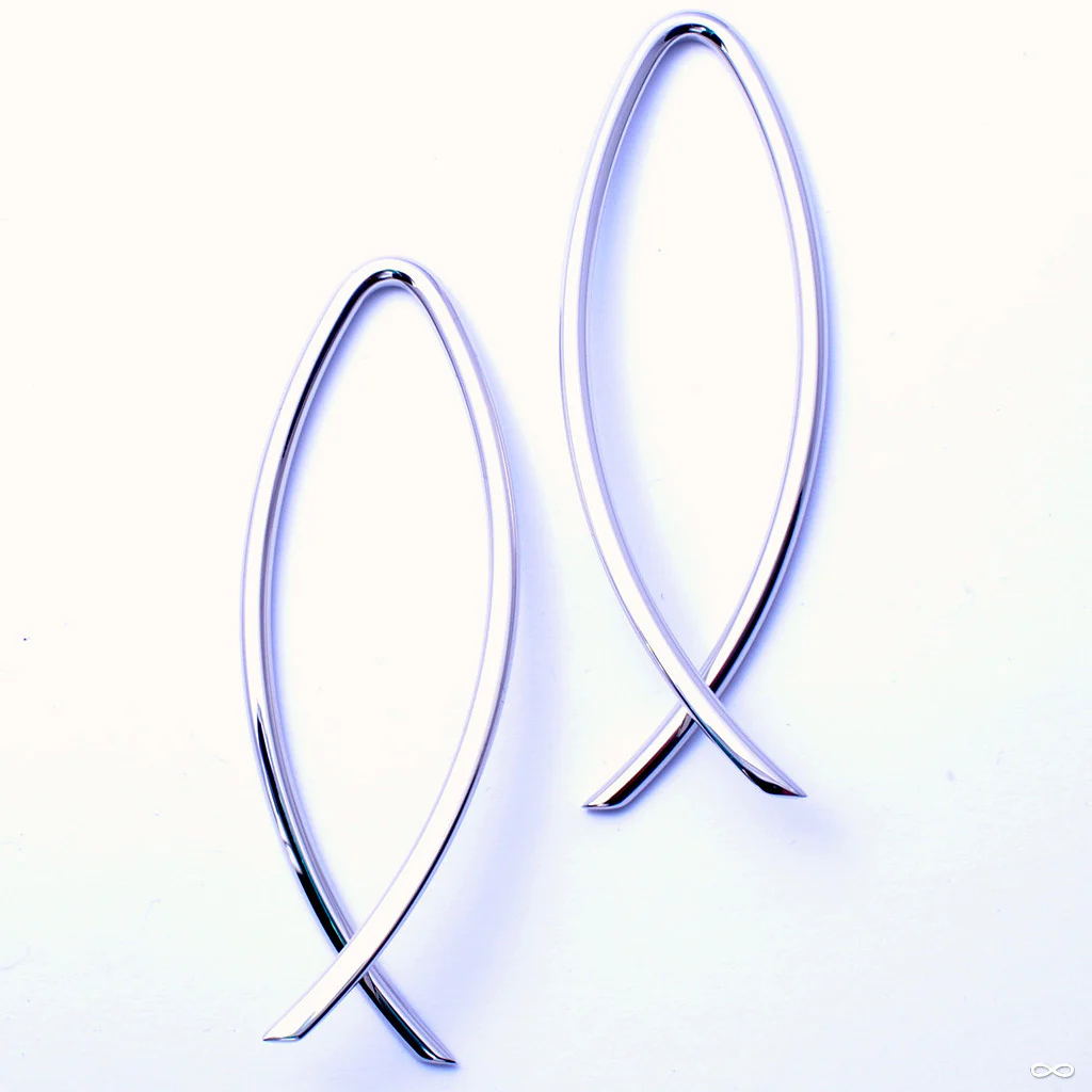 Ichthys from Little 7