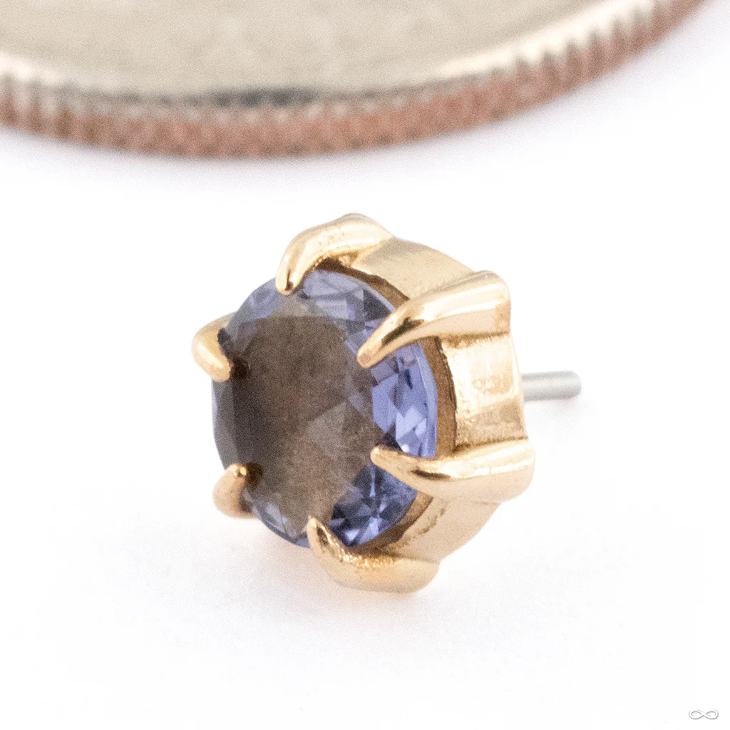 Illuminate Press-fit End in Gold from Maya Jewelry - Image 10