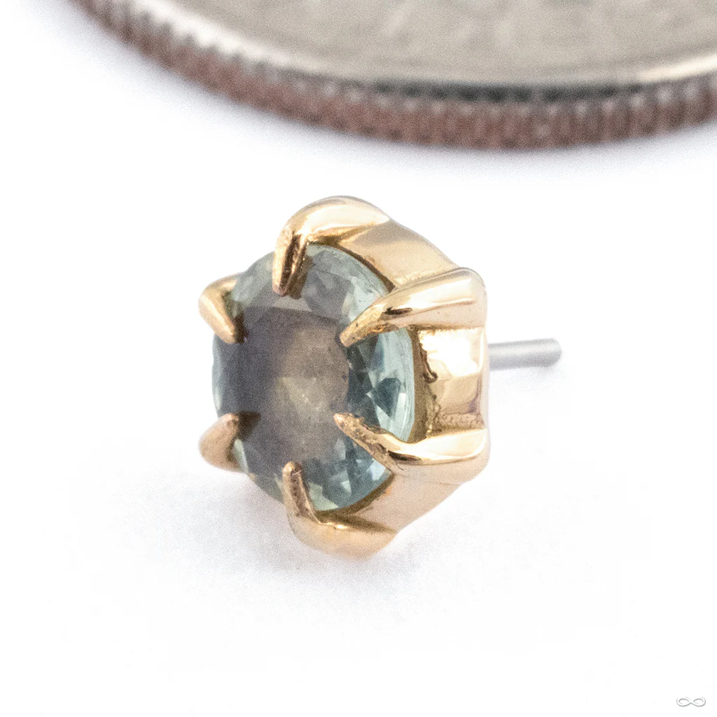 Illuminate Press-fit End in Gold from Maya Jewelry - Image 11