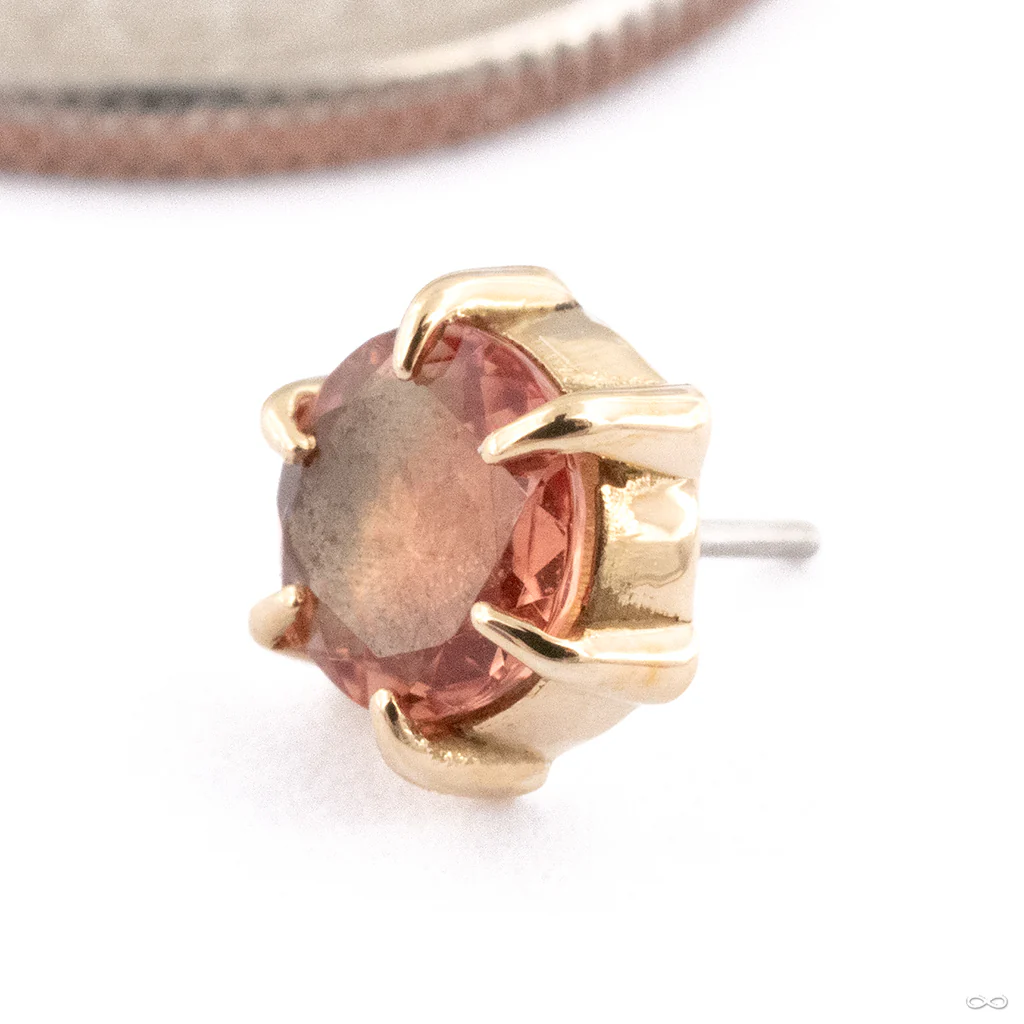 Illuminate Press-fit End in Gold from Maya Jewelry - Image 12